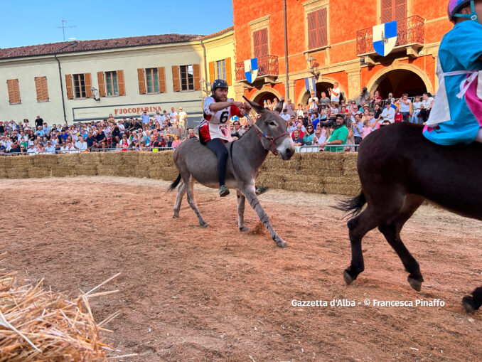 Palio degli asini 2023, la fotogallery  dei momenti più belli della corsa 26