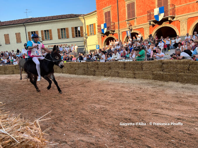 Palio degli asini 2023, la fotogallery  dei momenti più belli della corsa 1