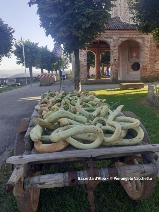 Trentesima edizione della Fiera Regionale della Zucca di Piozzo 3