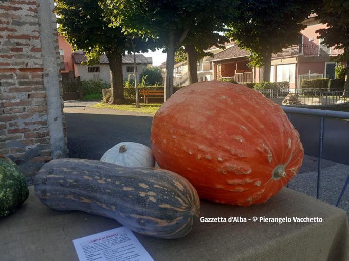 Trentesima edizione della Fiera Regionale della Zucca di Piozzo 4