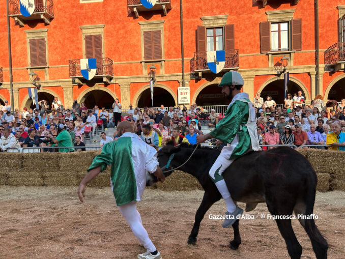 Palio degli asini 2023, la fotogallery  dei momenti più belli della corsa 9