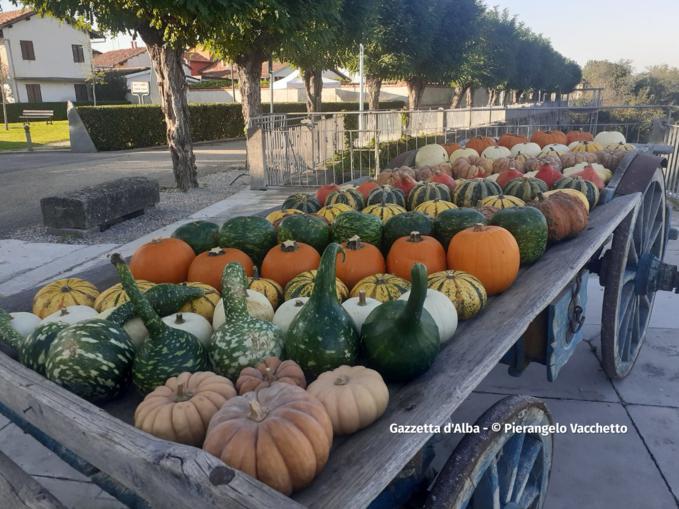 Trentesima edizione della Fiera Regionale della Zucca di Piozzo 6