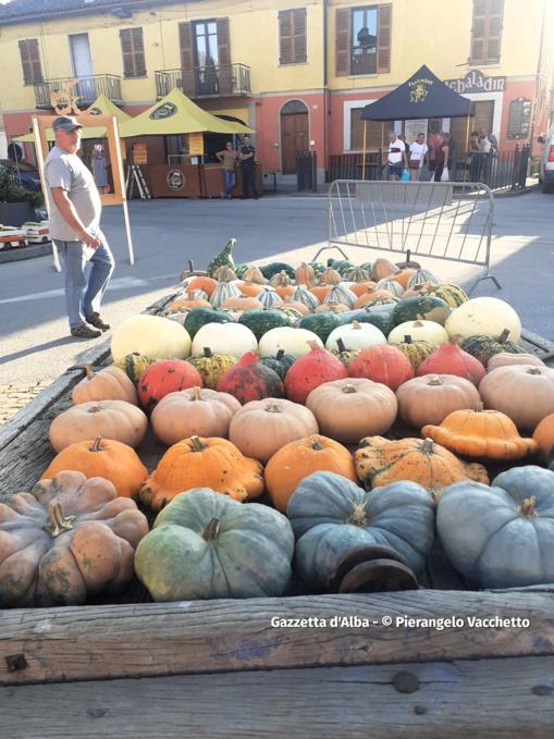 Trentesima edizione della Fiera Regionale della Zucca di Piozzo 7