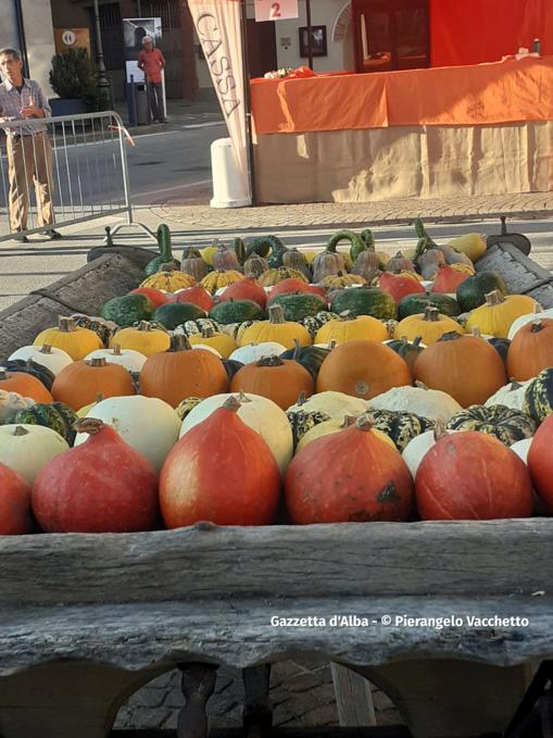 Trentesima edizione della Fiera Regionale della Zucca di Piozzo 9