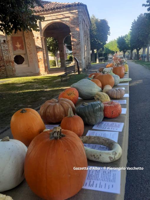 Trentesima edizione della Fiera Regionale della Zucca di Piozzo 10