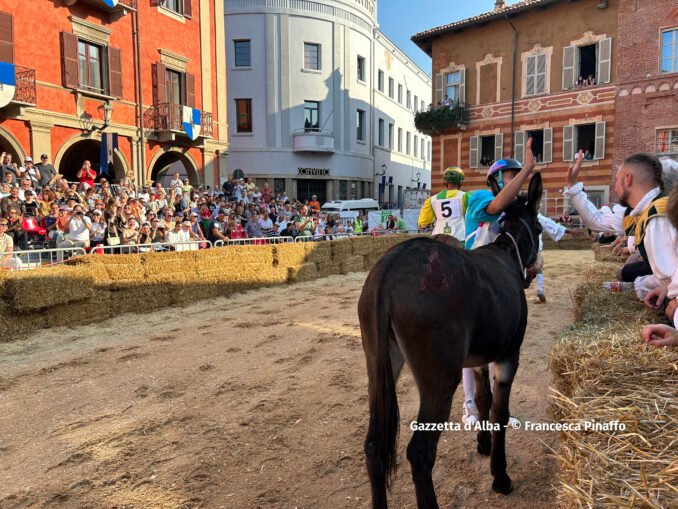 Palio degli asini 2023, la fotogallery  dei momenti più belli della corsa 15