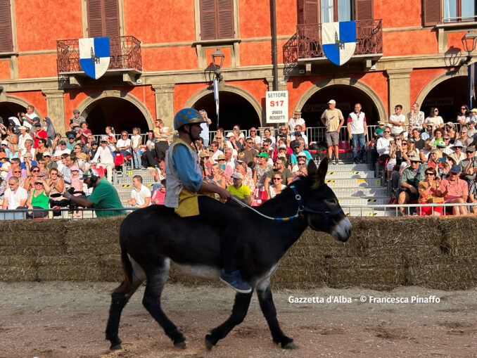 Palio degli asini 2023, la fotogallery  dei momenti più belli della corsa 16