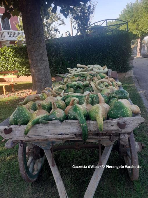 Trentesima edizione della Fiera Regionale della Zucca di Piozzo 12