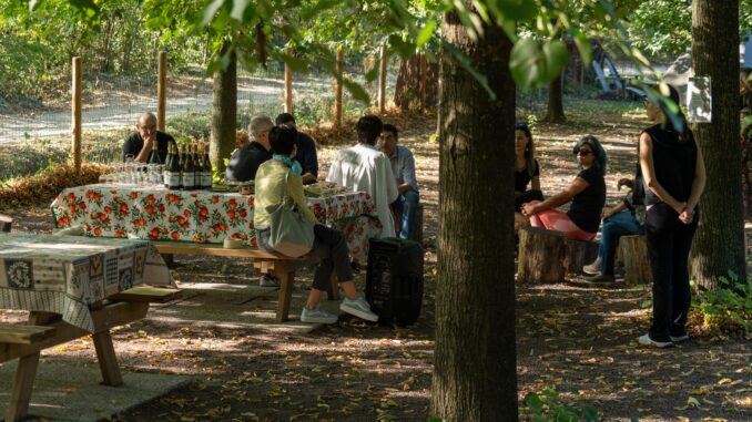 Radici Connesse - Nocciola e Moscato - Neive (7) RID Radici connesse, un progetto ecosostenibile di Citaca