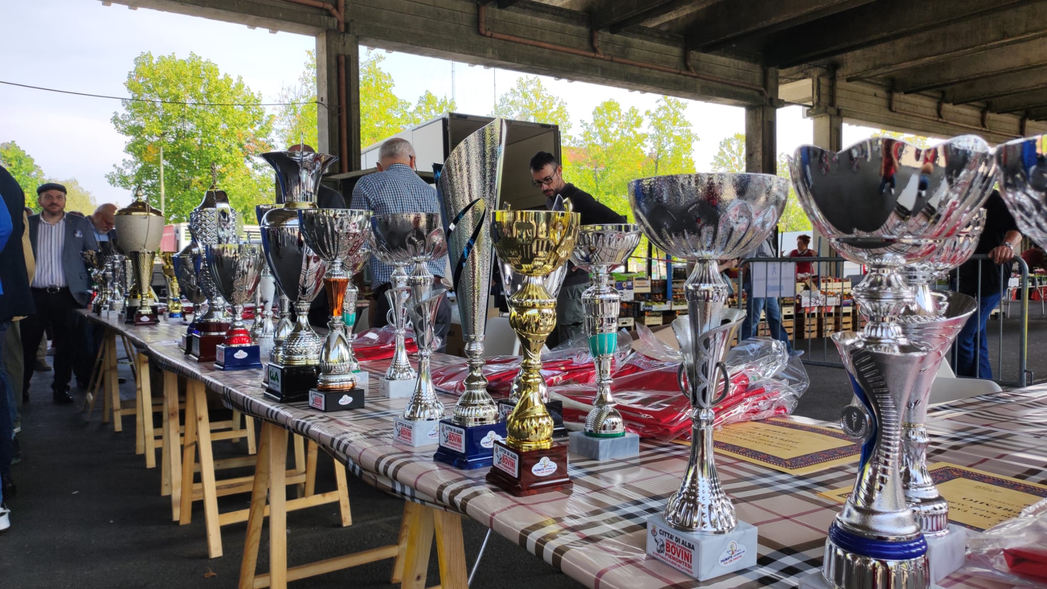 La rassegna dei bovini piemontesi premia i migliori esemplari albesi (FOTOGALLERY) 2