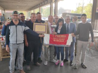 La rassegna dei bovini piemontesi premia i migliori esemplari albesi (FOTOGALLERY) 7