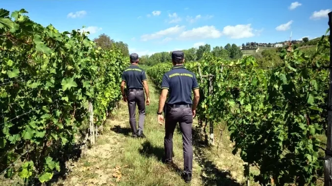 Lavoro sommerso tra vigneti e bar: la Finanza di Asti scopre 18 irregolari