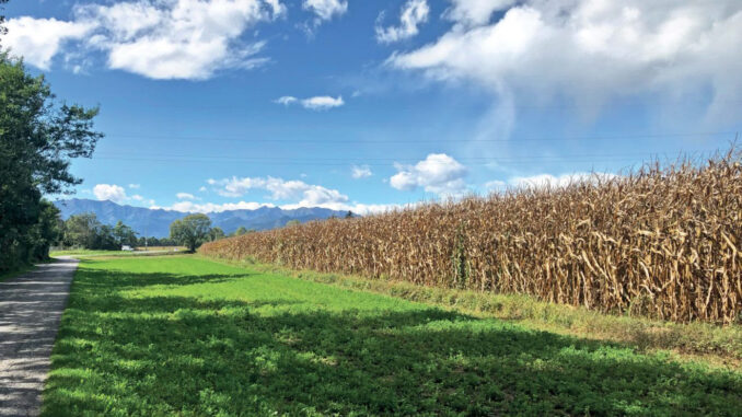 Affitto di terreni agricoli e fabbricati rurali, approfondimento di Confagricoltura a Cuneo