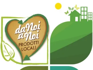 Bontà e sostenibilità: un impegno concreto per Mercatò 