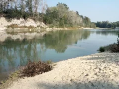 Il liceo Govone va a scuola di... rocce: dopo la lezione in classe tutti alla spiaggia dei cristalli lungo il Tanaro