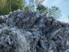 Il liceo Govone va a scuola di... rocce: dopo la lezione in classe tutti alla spiaggia dei cristalli lungo il Tanaro 1