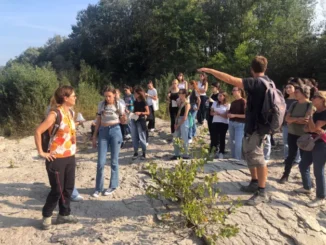 Il liceo Govone va a scuola di... rocce: dopo la lezione in classe tutti alla spiaggia dei cristalli lungo il Tanaro 4