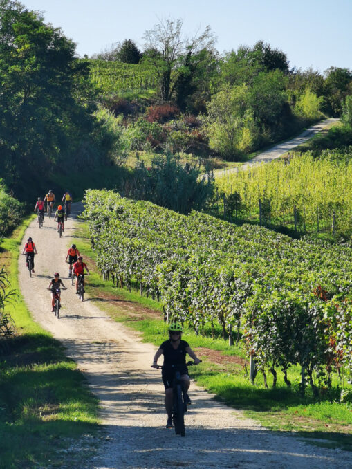 Progetto Snodi, sabato 21 ottobre si pedala a Neviglie; a Montiglio il convegno “Lo stato dei servizi nel Monferrato”e a Guarene la mostra “che sarà sarà”