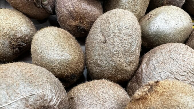 Mercato della frutta: tempi certi e prezzi equi, avanti con i contratti scritti