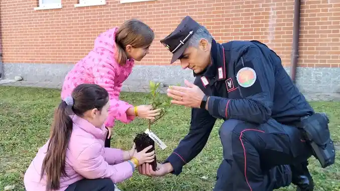 Carabinieri Forestali portano gli alberi della giornata nazionale in 12 scuole della Granda