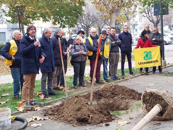 Festa dell'albero a Bra 2