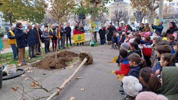 Festa dell'albero a Bra