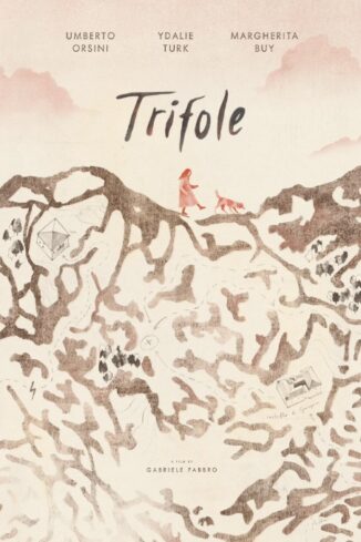 Alba: stalli di sosta occupati in via Accademia per le riprese del film “Trifole”