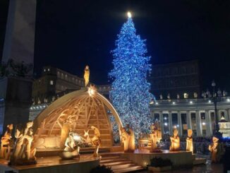 È partito dal Cuneese l'albero di Natale di Papa Francesco