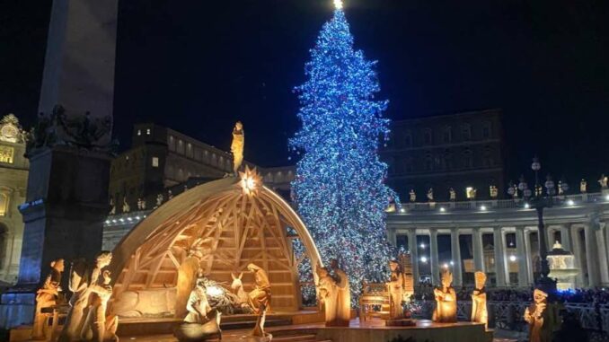 È partito dal Cuneese l'albero di Natale di Papa Francesco