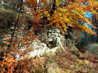 Magie d’autunno in Alta Langa: il sentiero dei faggi e delle antiche borgate