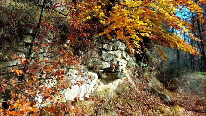 Magie d’autunno in Alta Langa: il sentiero dei faggi e delle antiche borgate