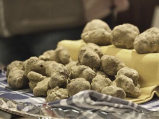 Fiera nazionale del tartufo bianco e dei vini del Roero: palio del Tartufo