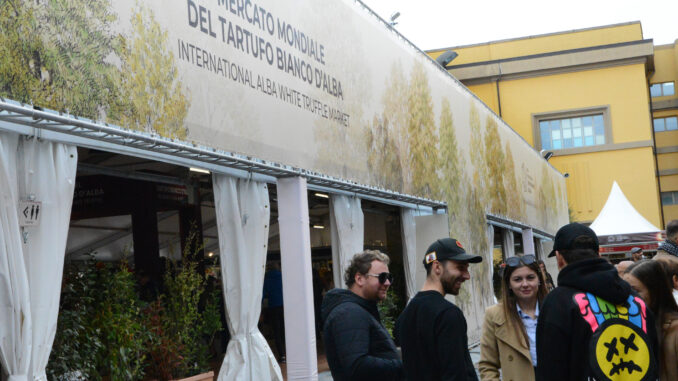 Per i tartufi bianchi di Alba, migliore qualità e prezzi in discesa