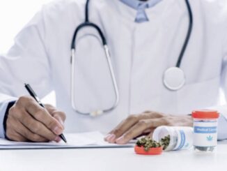 Cannabis terapeutica e legalizzazione