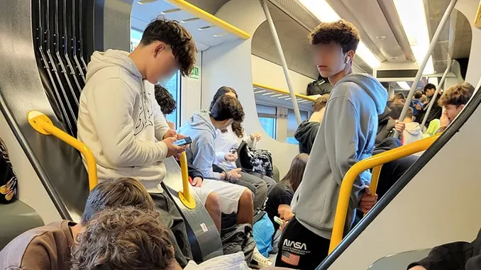 Treno affollato