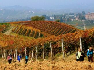 Il fascino dell’Autunno sui Sentieri del Barolo