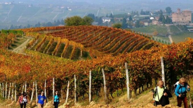 Il fascino dell’Autunno sui Sentieri del Barolo