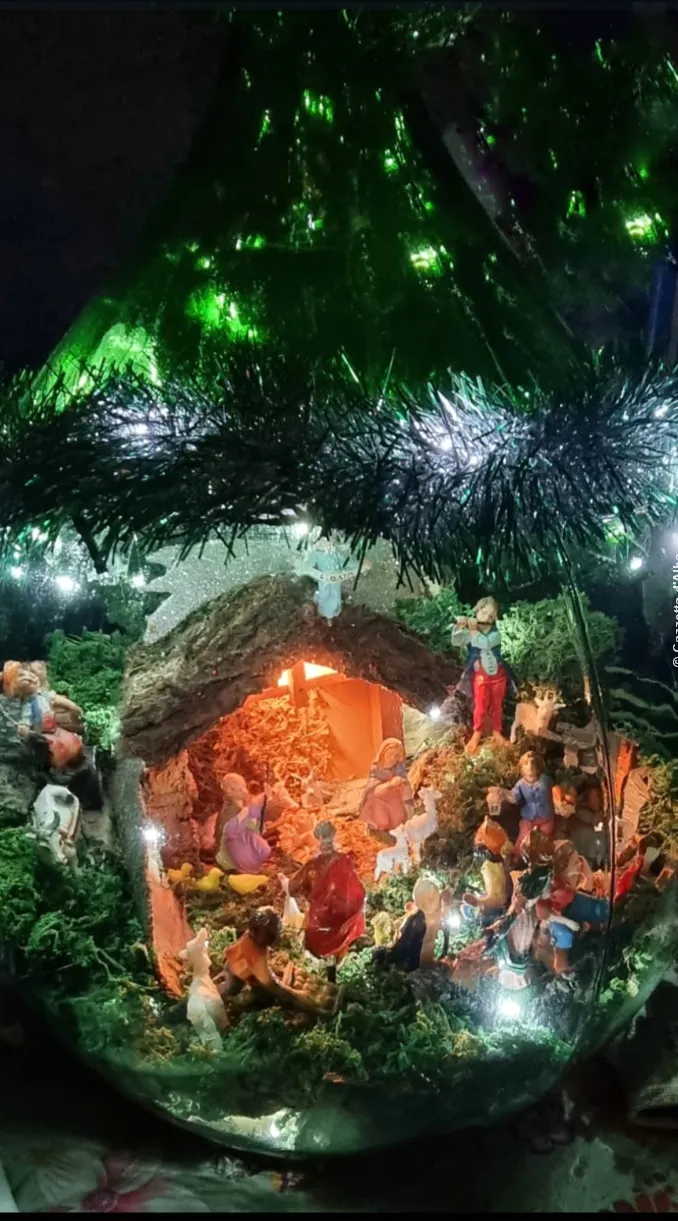 Il nostro presepe nella tradizione natalizia. Le foto più belle 56
