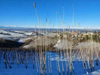 Previsioni del tempo. Weekend stabile, sole in montagna e nebbie in pianura