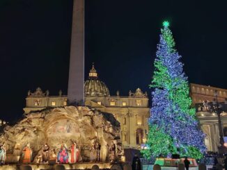 Brilla in piazza San Pietro in Vaticano l'albero dono di Macra e delle montagne del Piemonte