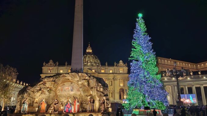 Brilla in piazza San Pietro in Vaticano l'albero dono di Macra e delle montagne del Piemonte