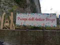 Il nostro presepe nella tradizione natalizia. Le foto più belle 13