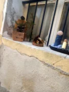 Il nostro presepe nella tradizione natalizia. Le foto più belle 17