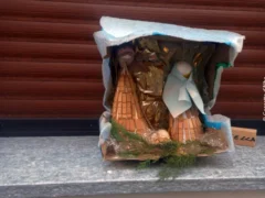 Il nostro presepe nella tradizione natalizia. Le foto più belle 27