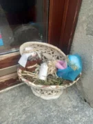 Il nostro presepe nella tradizione natalizia. Le foto più belle 32