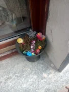 Il nostro presepe nella tradizione natalizia. Le foto più belle 34