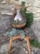 Il nostro presepe nella tradizione natalizia. Le foto più belle 38