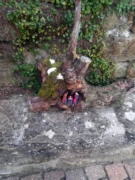 Il nostro presepe nella tradizione natalizia. Le foto più belle 39