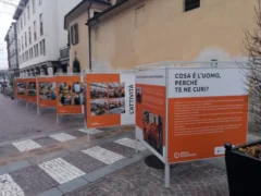 Il Banco alimentare si fa conoscere a Bra anche tramite una mostra