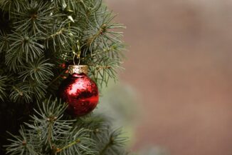 La tradizione dell'albero di Natale, che nacque in Europa